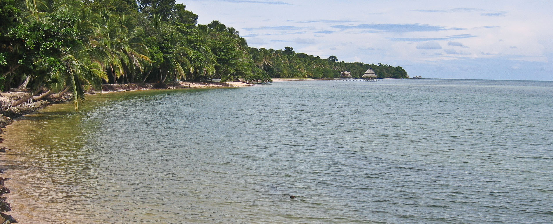 Bocas del Toro|Guide to Panama's Islands and beaches|Geodyssey