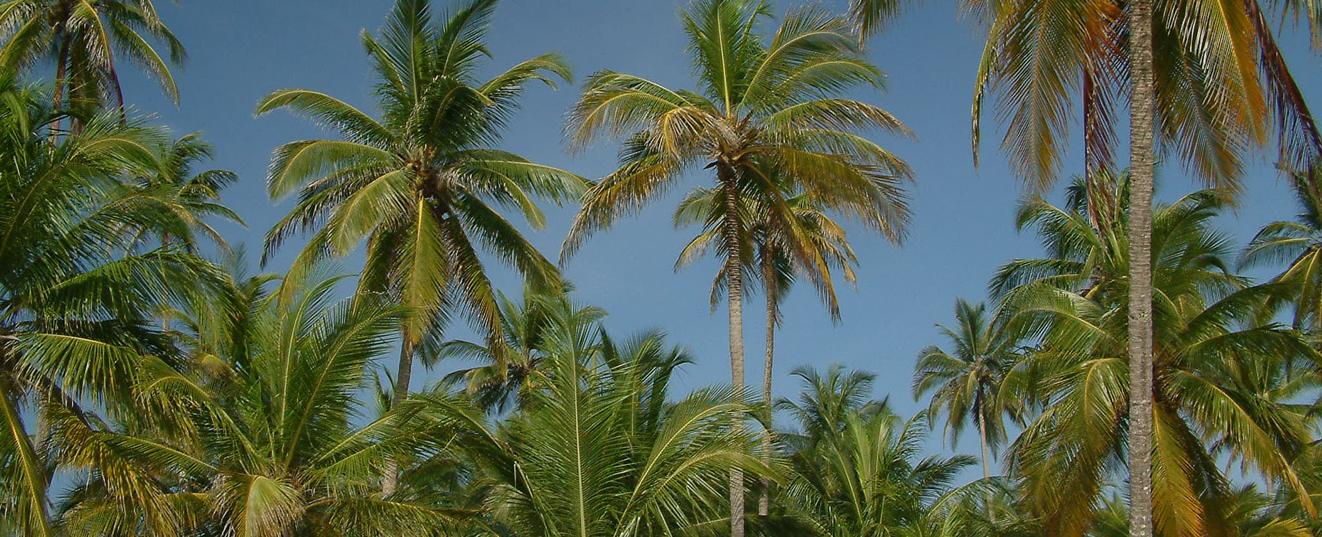 Pearl Islands Islas Perlas Panama