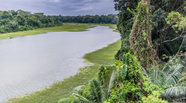 Peru 'The Complete Manu Biosphere Experience'