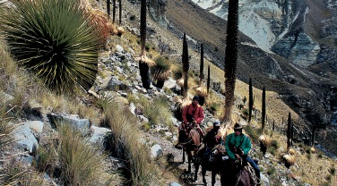 Peru 'Lares community trek'