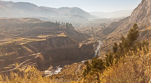 Incan terraces