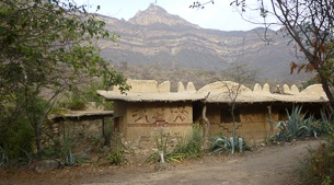 Spectacled Bear protection