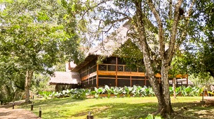 A lodge in the Amazon rainforest