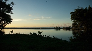 Wildfowl and wetlands