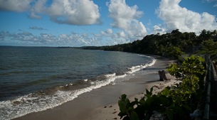 Windswept beaches, wildlife and mangroves