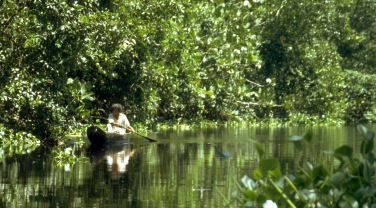 Venezuela - themes - wildlife